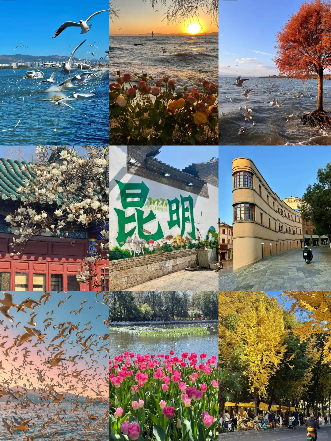 国庆云南旅游｜谁去谁夸的避雷攻略❗️速码