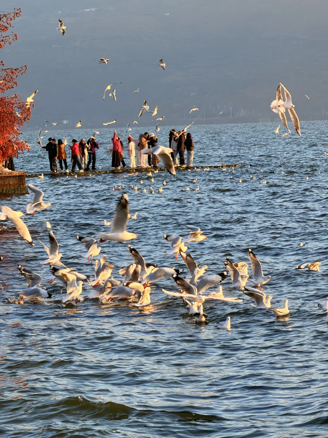 12.2实况🌅今天的大理！！！杀疯了！！！！！！！！！！！