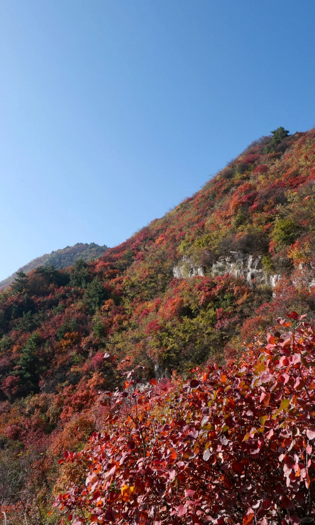 石家庄｜最美红叶观赏路线