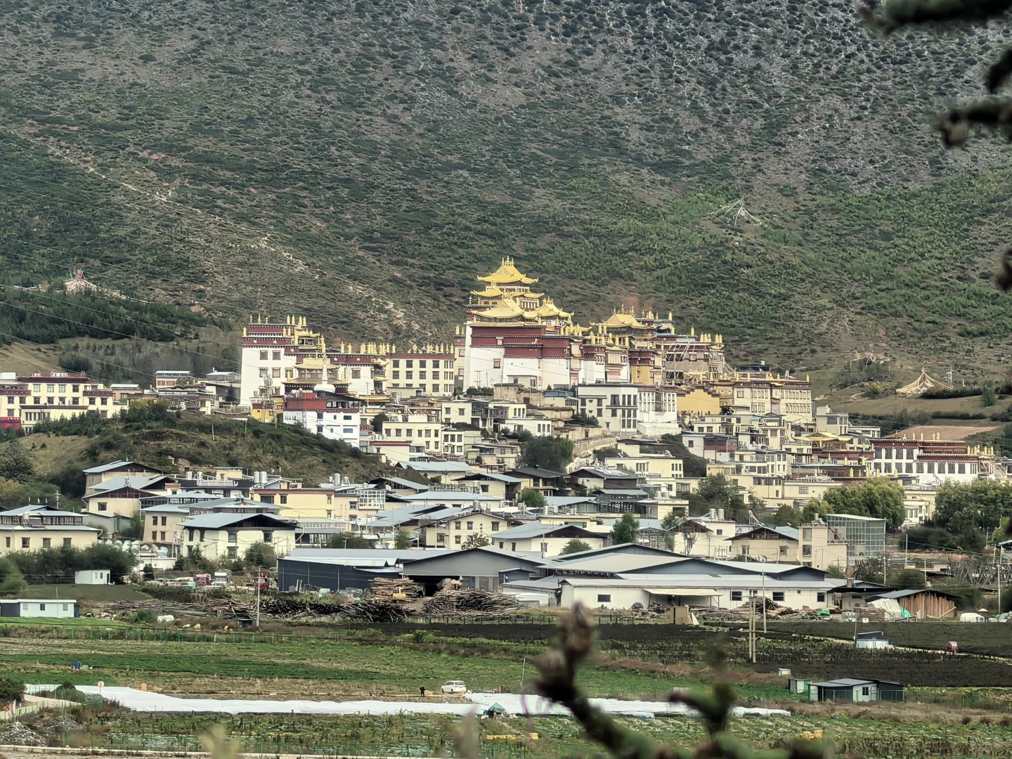 云南旅游超详细流水线第三天！