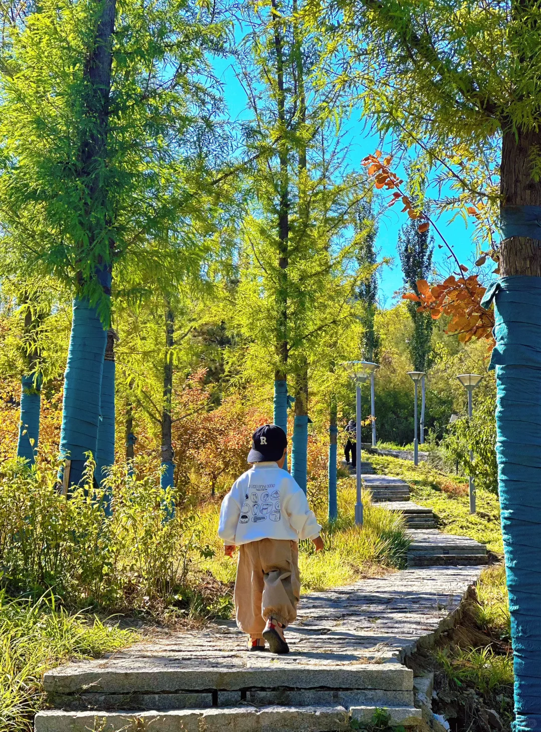 石家庄0元玩全天|附带娃动线