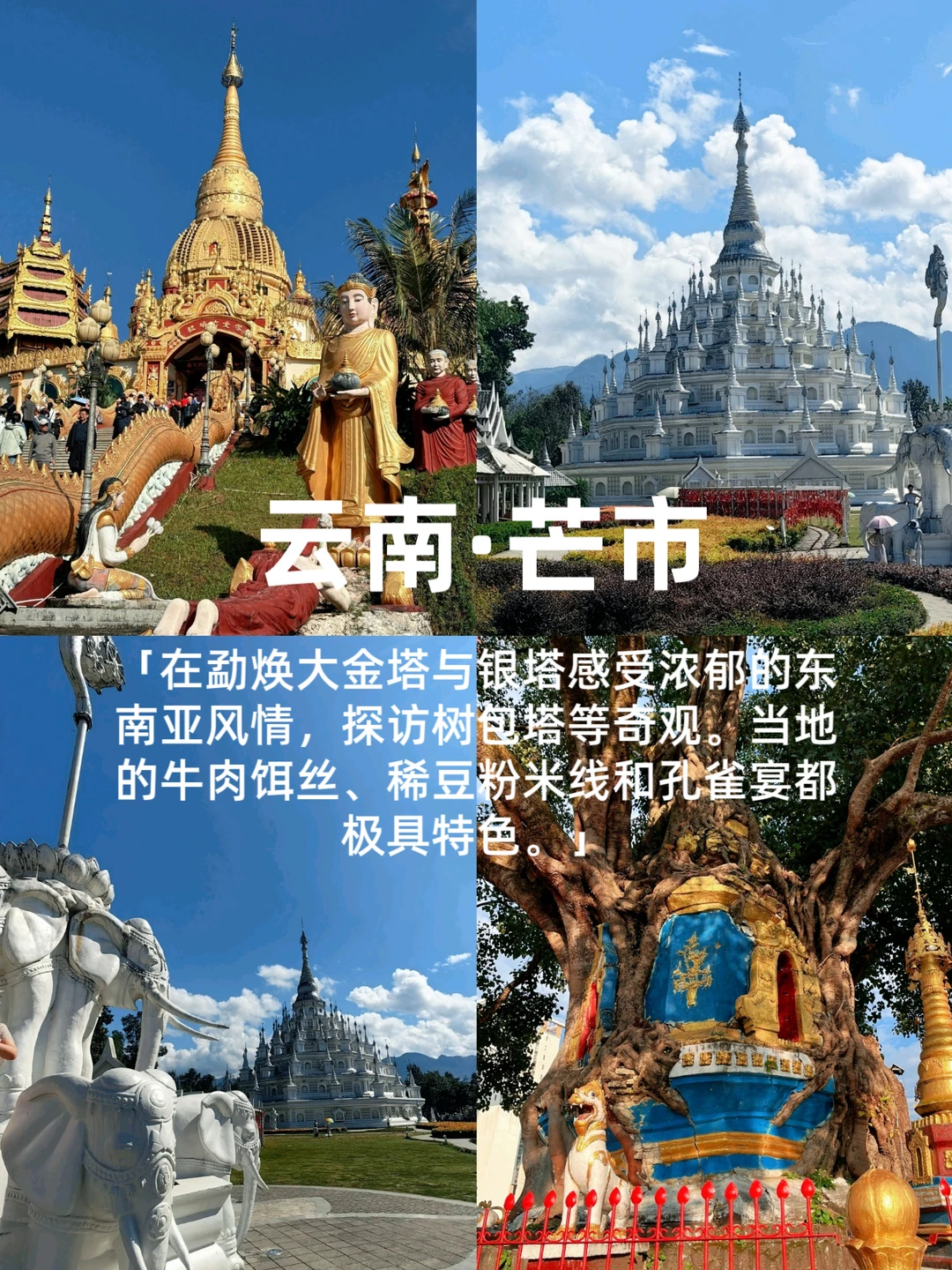 冬季反向旅游🌷🌷这些城市避寒简直绝了