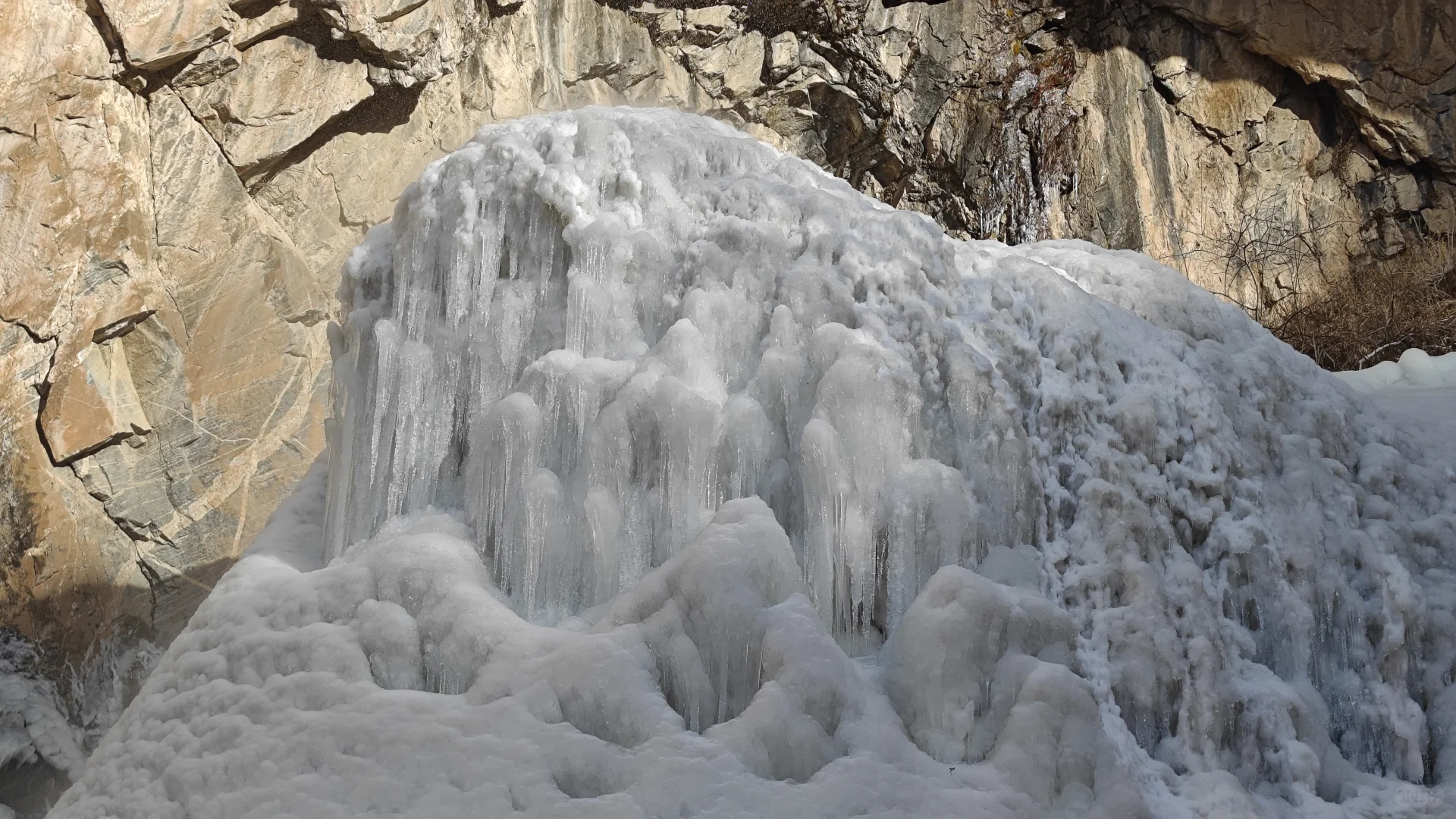 11月23日国际庄周边冬天好去处往这看😏