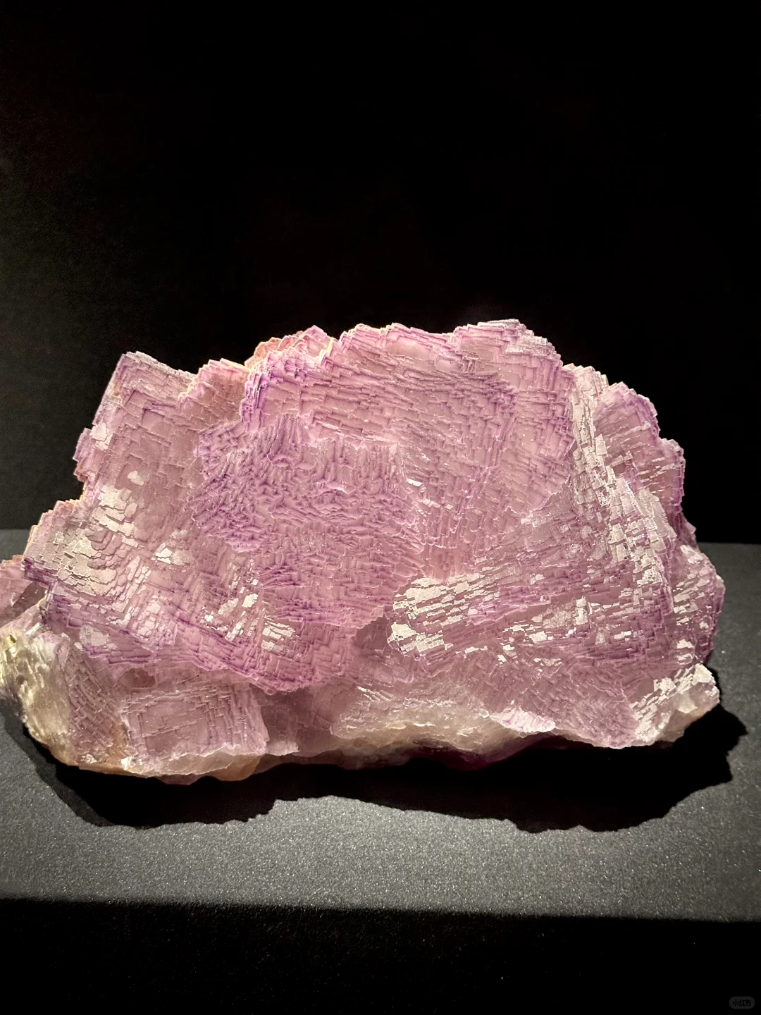 济南人欠全国一个解释。。。。。。。。。。