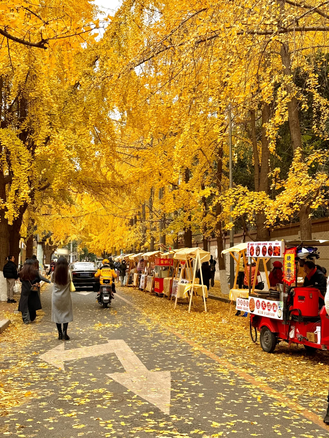 原来成都封神的秋景都是免费的。。。。附地址