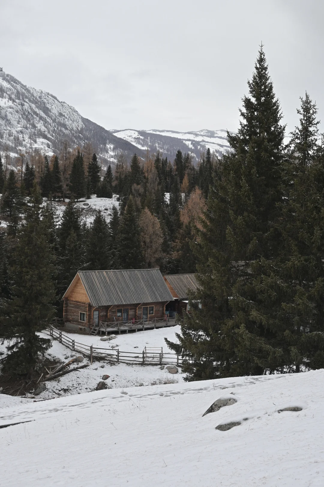 阿勒泰9天8晚旅行花费