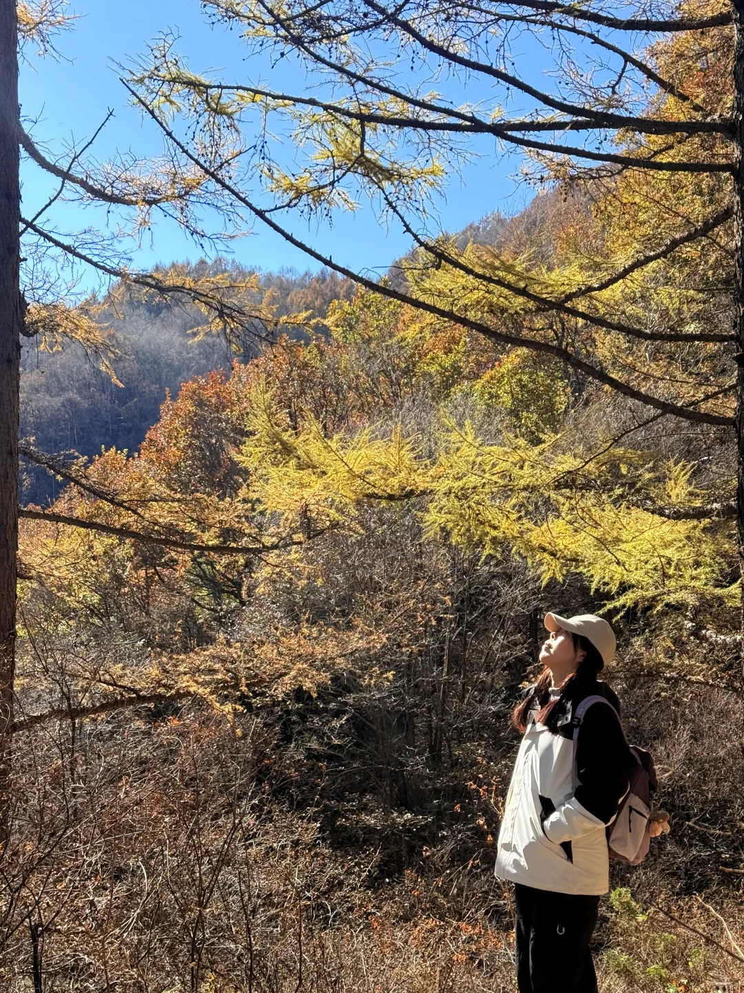 新手第一次爬五岳寨超全攻略|一定要保存好！