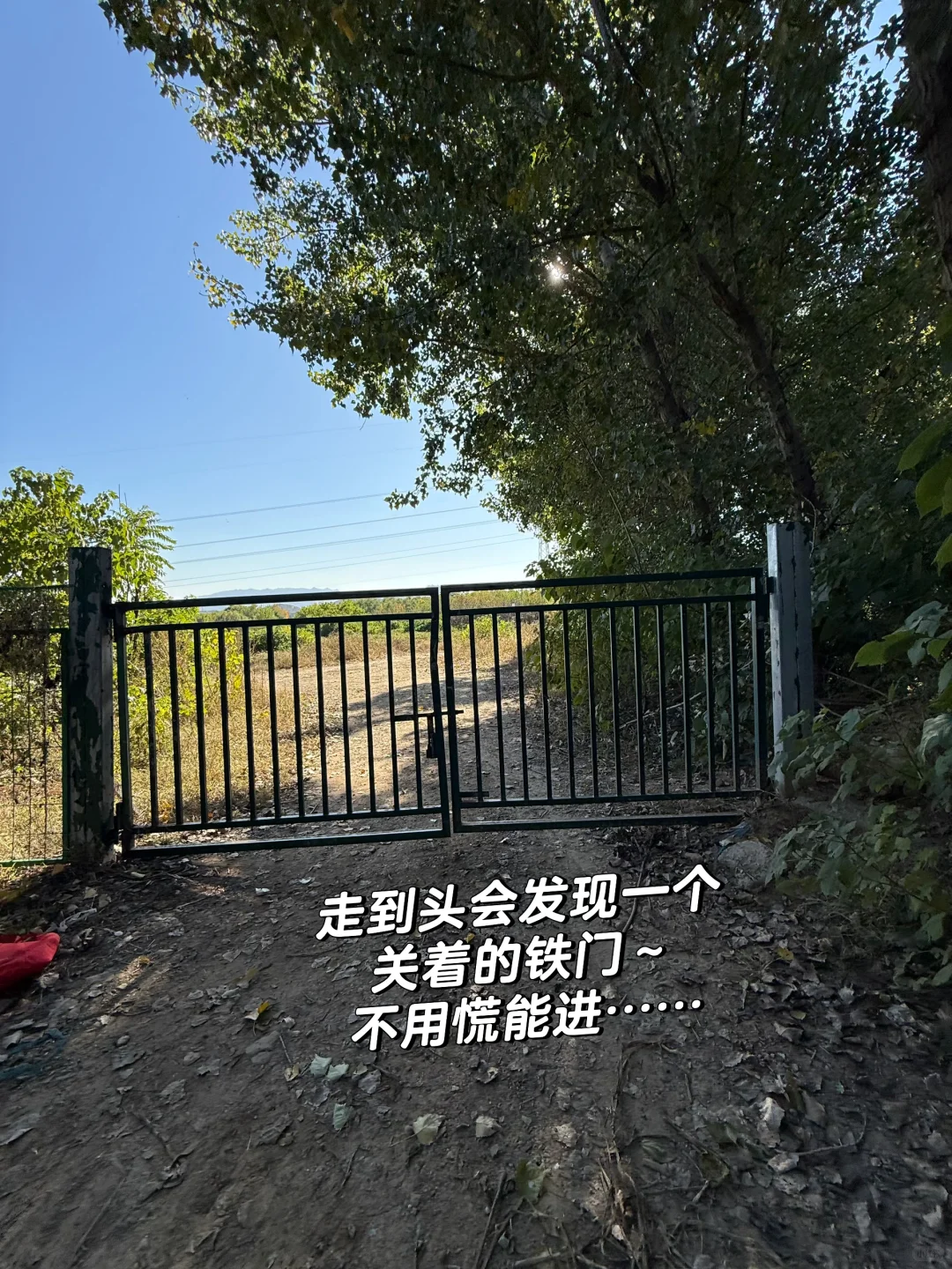 石家庄龙泉湖捡木瓜｜赏秋｜看我一篇就够啦