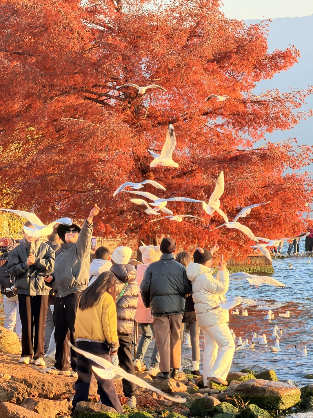 12.2实况🌅今天的大理！！！杀疯了！！！！！！！！！！！