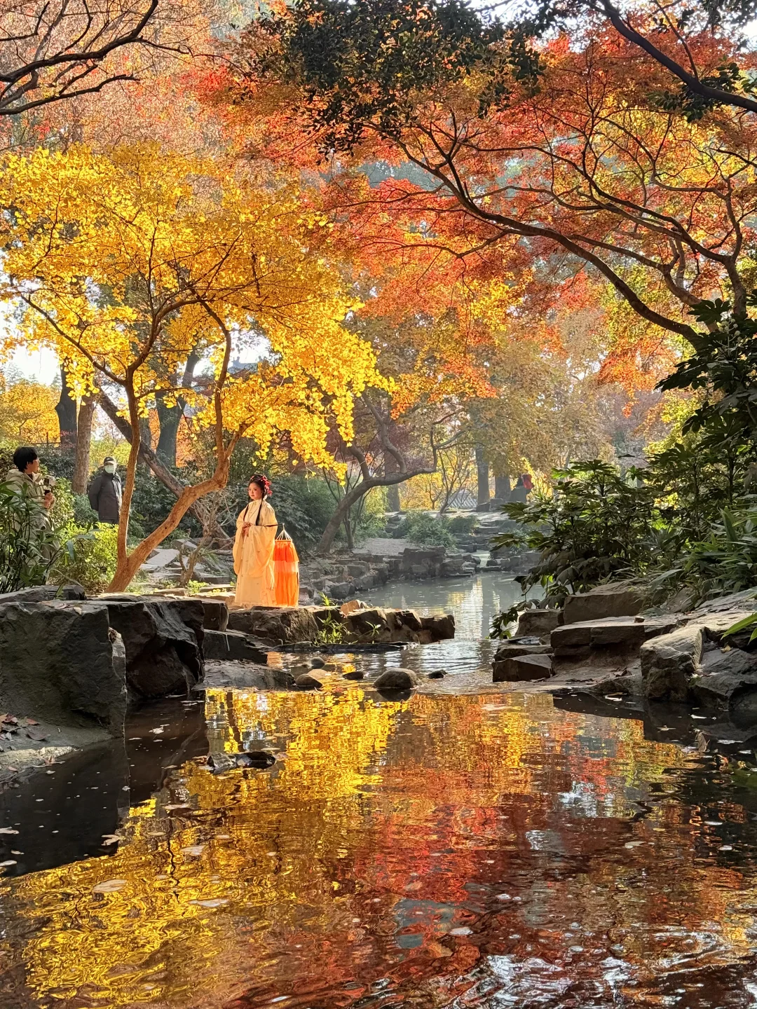 12.6实拍live🍁苏州虎丘红枫杀疯了！！！！！！！！