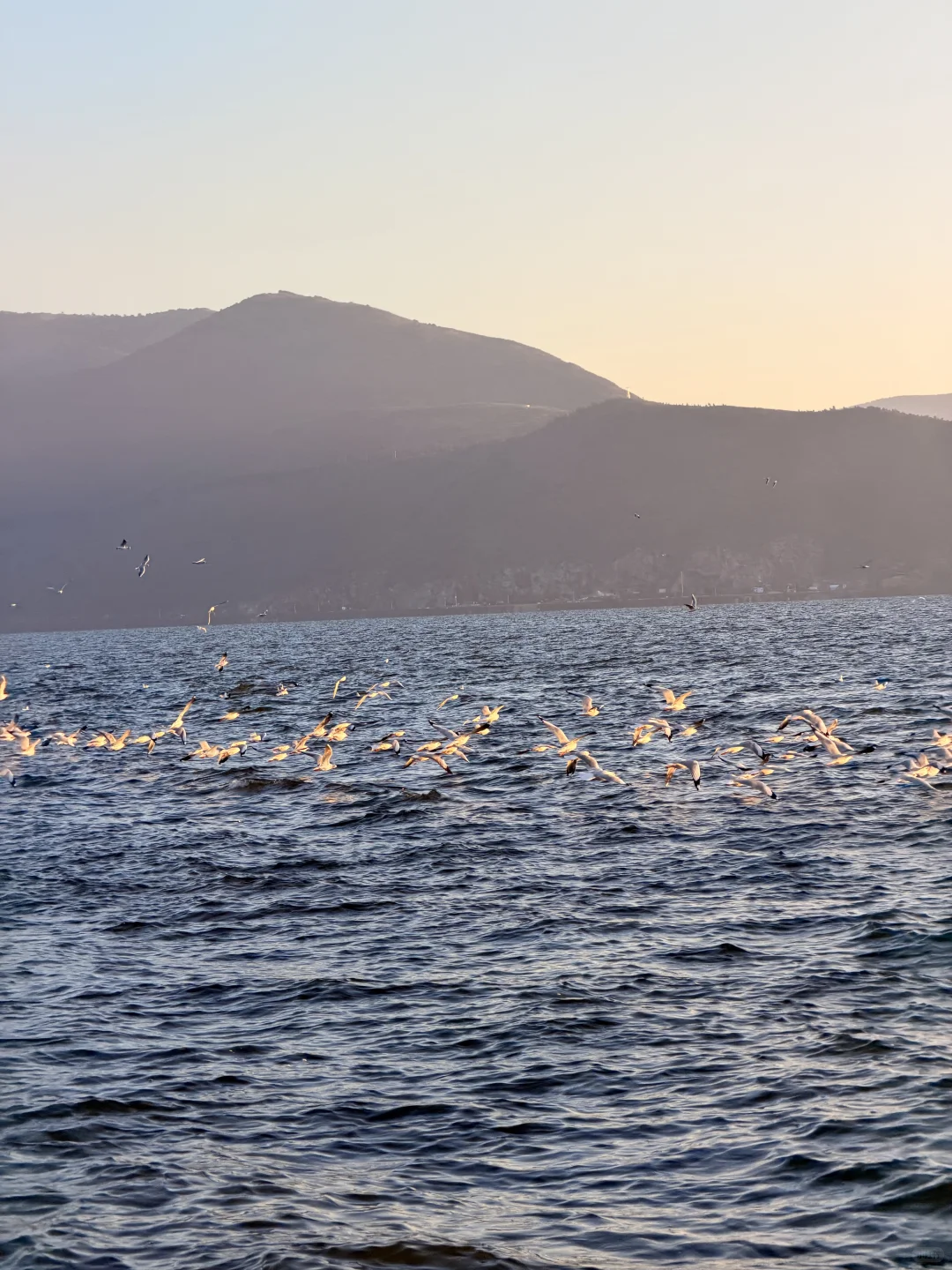 12.2实况🌅今天的大理！！！杀疯了！！！！！！！！！！！