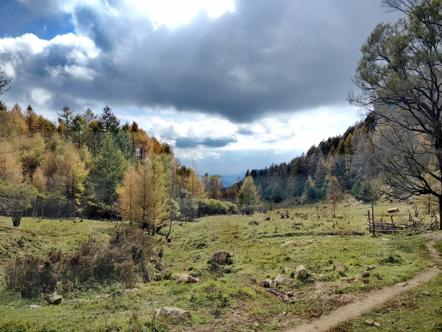 石家庄|没去新疆阿勒泰，被这里美哭了！