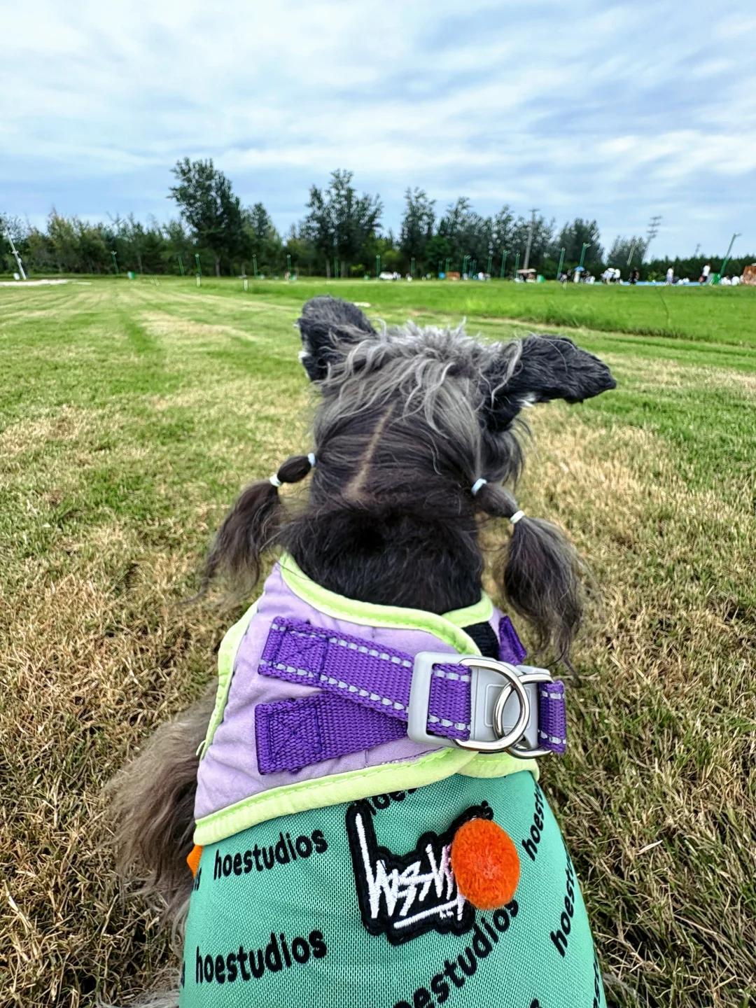 大黄鸭，我来了！附滹沱河艺术生态岛怎么玩