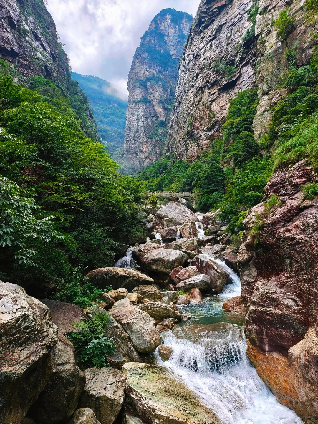 只缘身在此山中