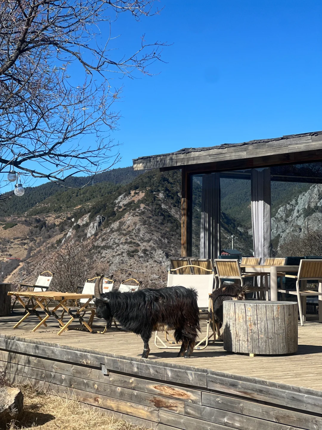 纳帕海小众打卡景点