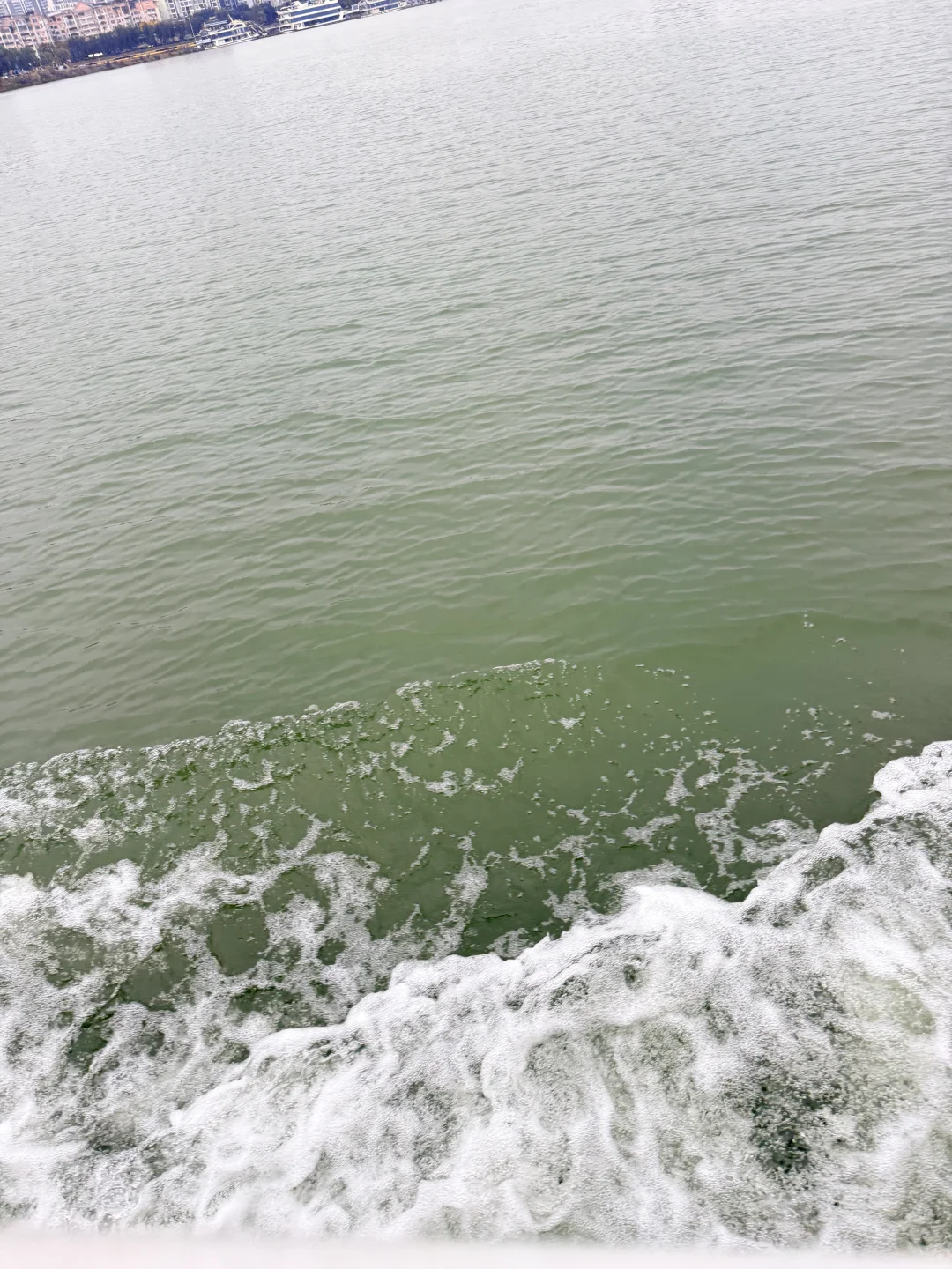 四川｜遂宁· 圣莲岛