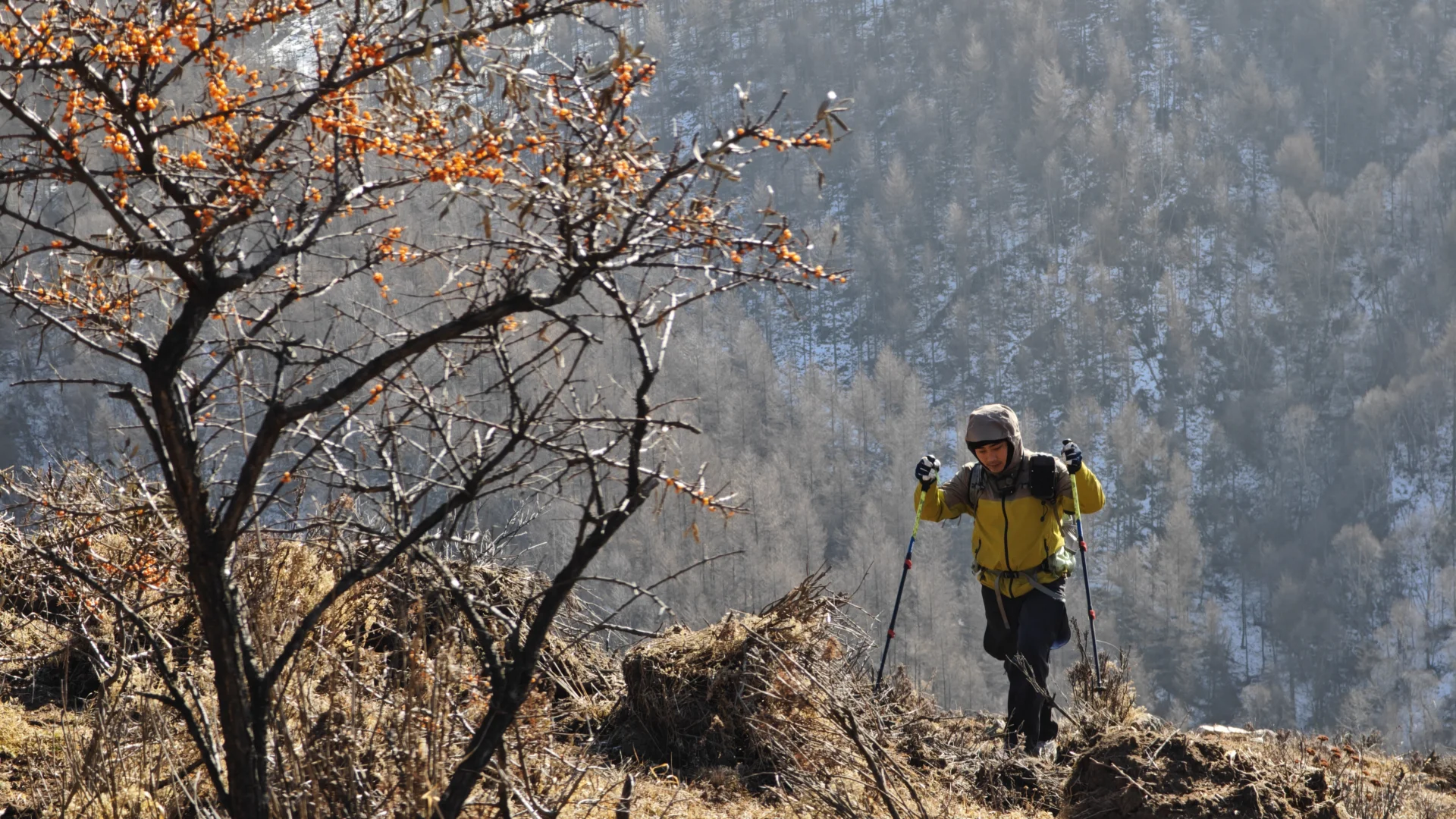 11月23日国际庄周边冬天好去处往这看😏
