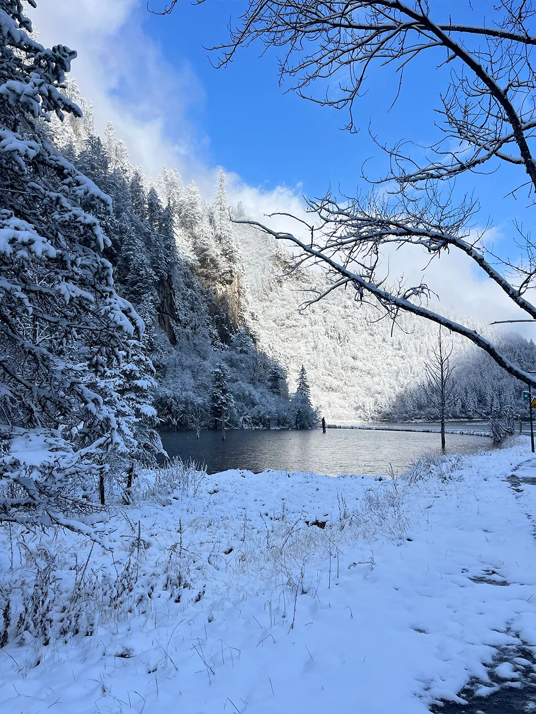 成都出发 | 毕棚沟一日游167💰含门票