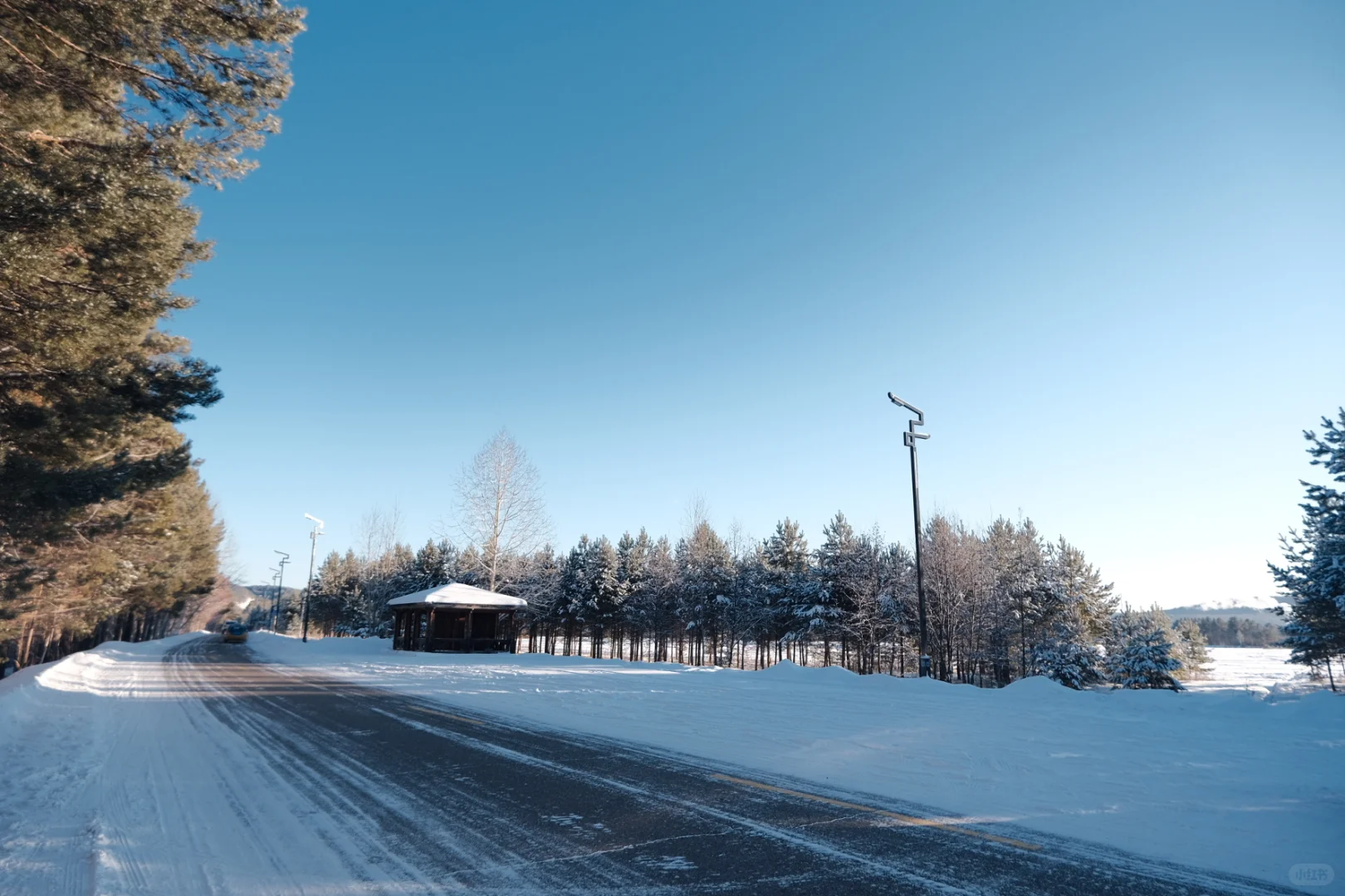 分享漠河攻略一篇