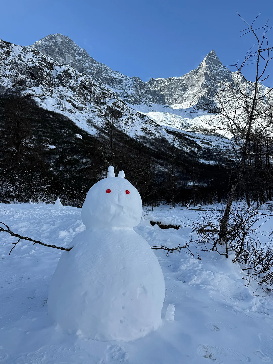 川西毕棚沟📍成都一日游往返167💰含门票