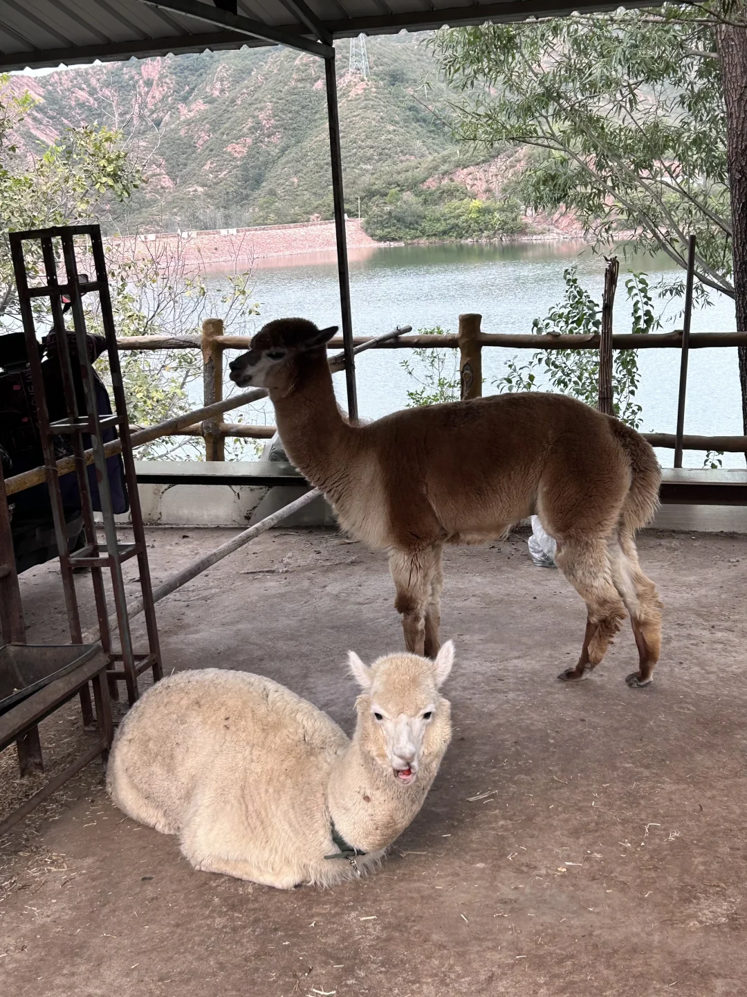 快来红崖谷和我们玩～