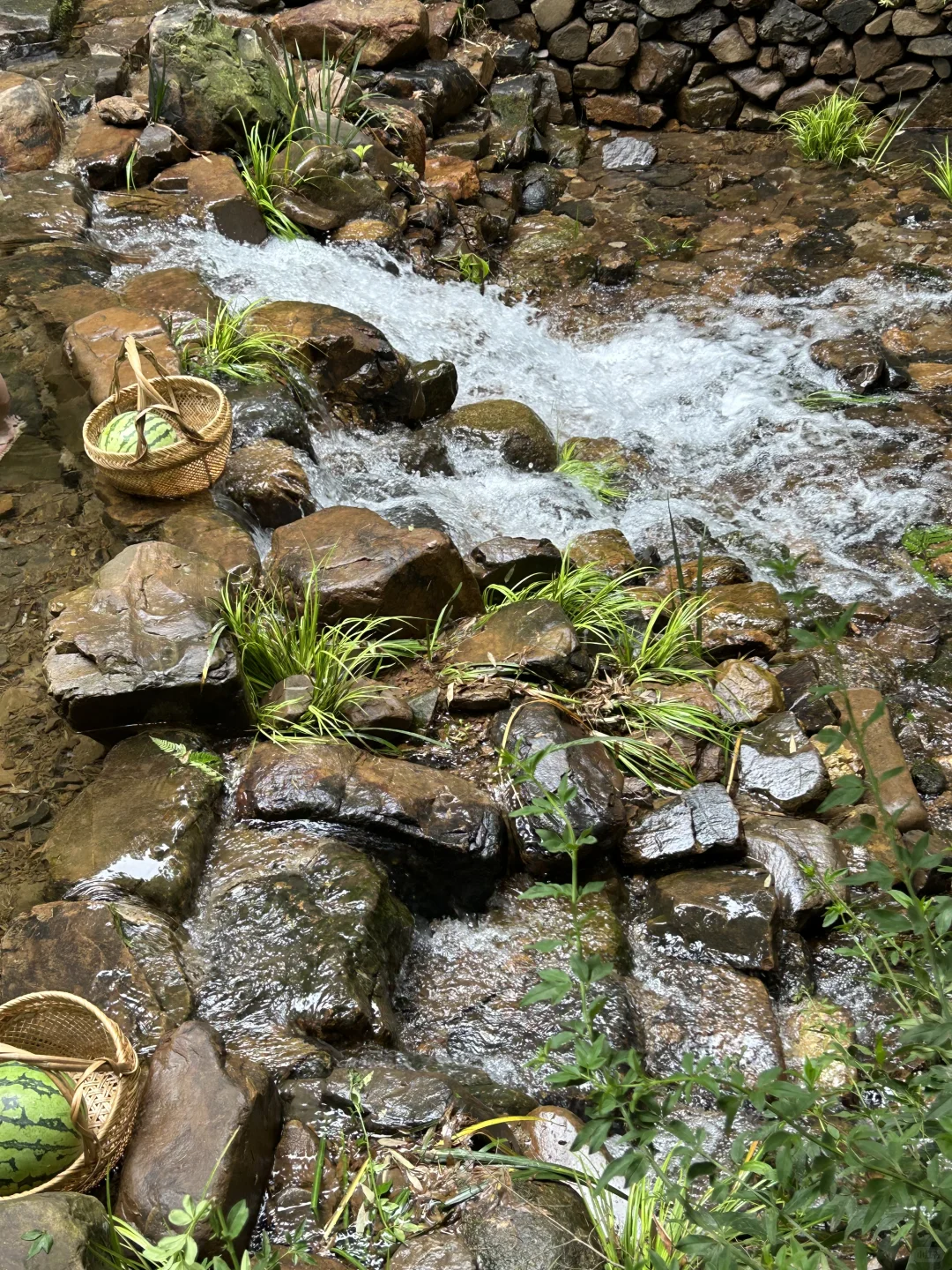 狗狗友好景区嘿嘿嘿