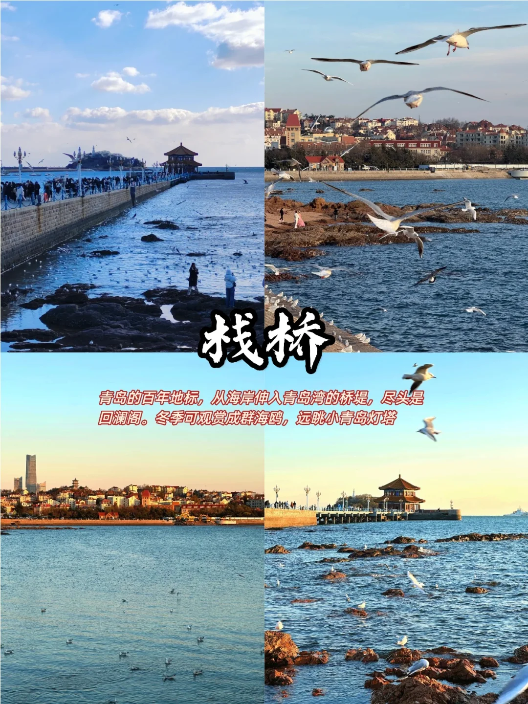 青岛威海烟台深度游攻略❄️看雪与海的碰撞