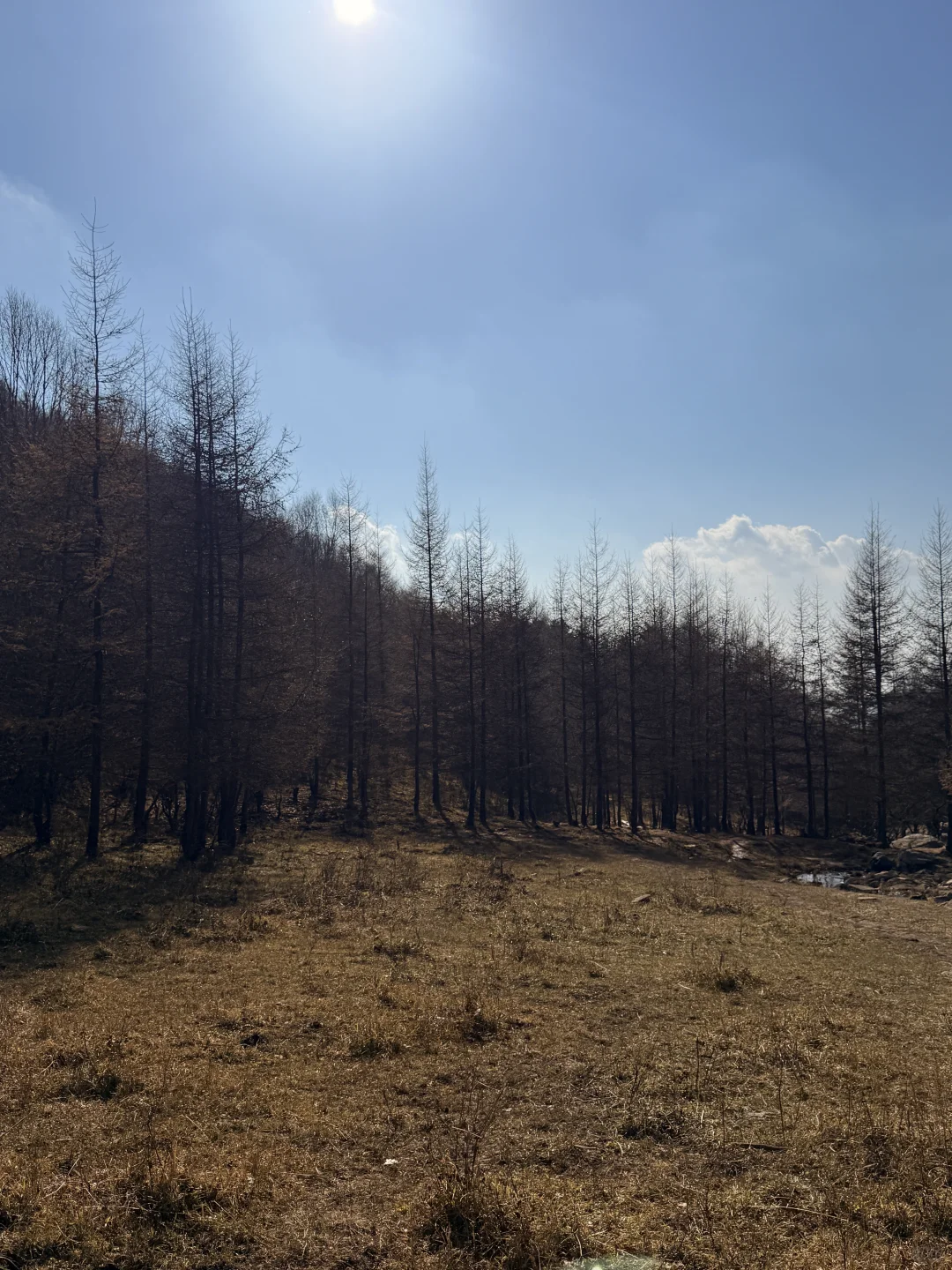 中台山村现状👨‍🦽‍➡️