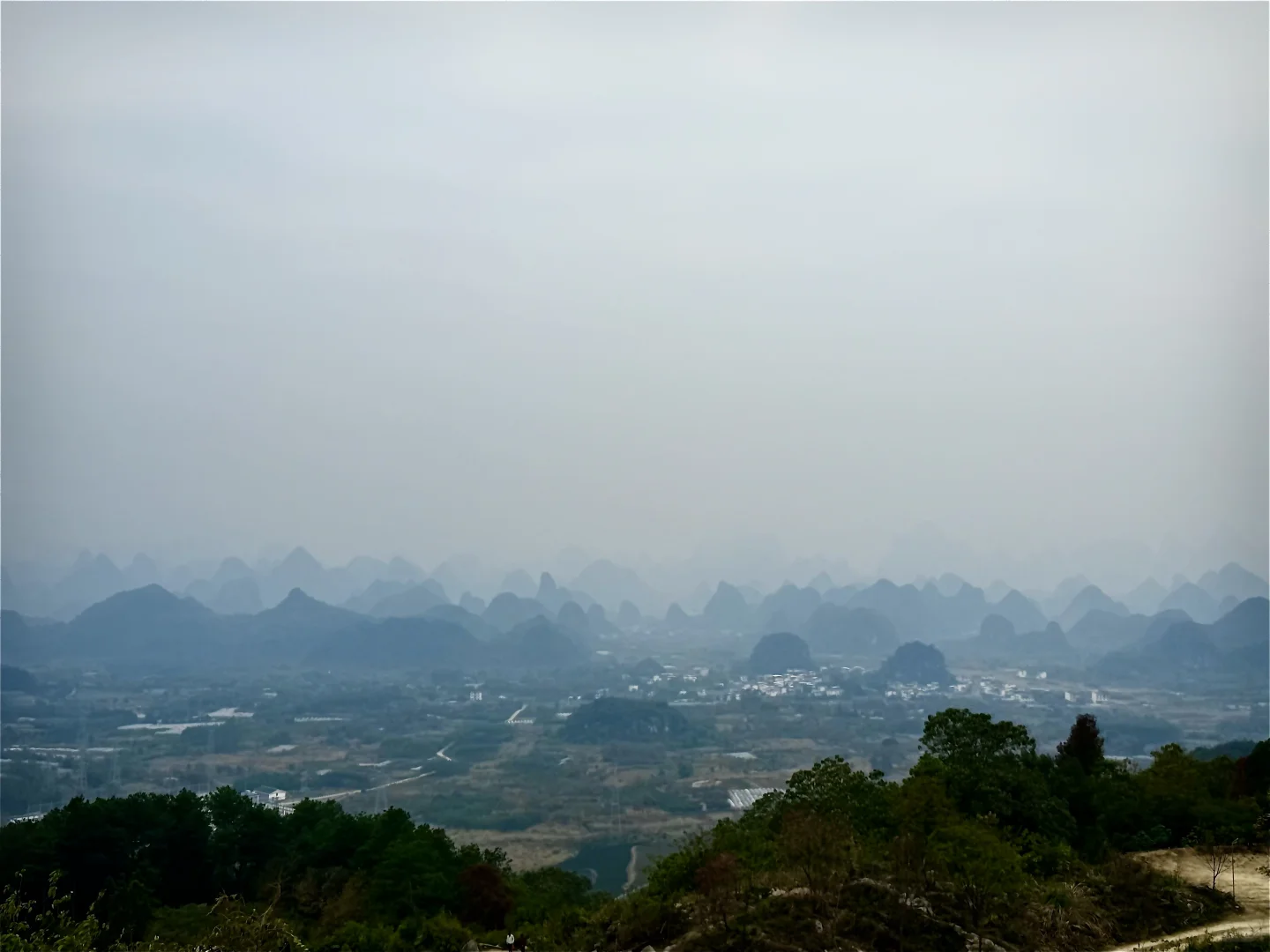 船在林中走，人在画里游