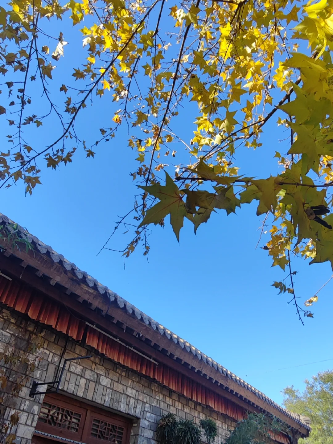 破败不堪的红崖谷，你要闹哪样？