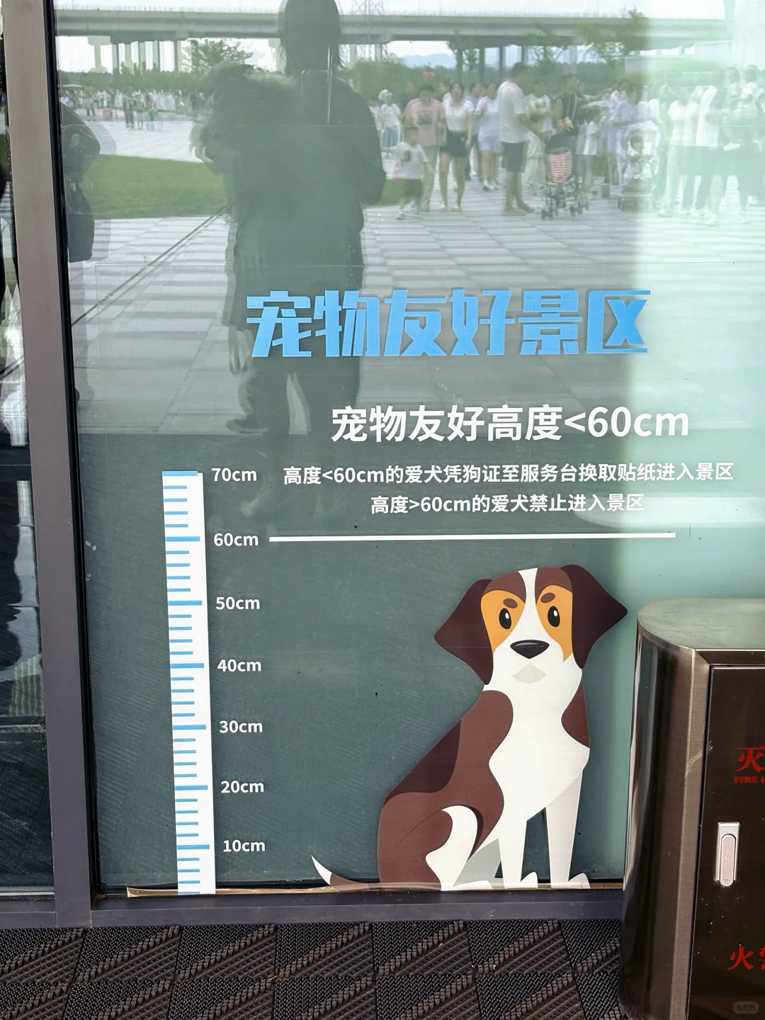 大黄鸭，我来了！附滹沱河艺术生态岛怎么玩