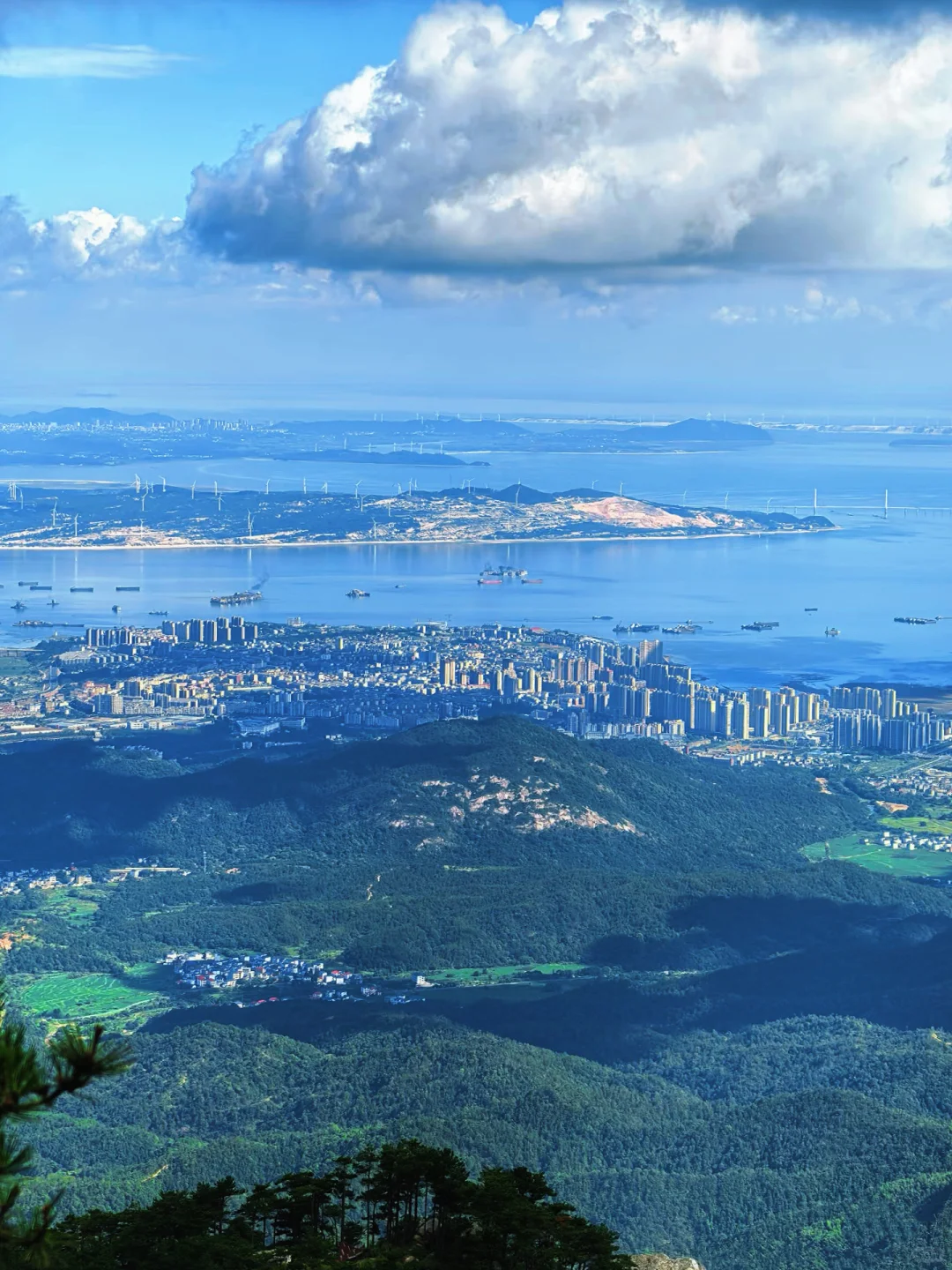 只缘身在此山中