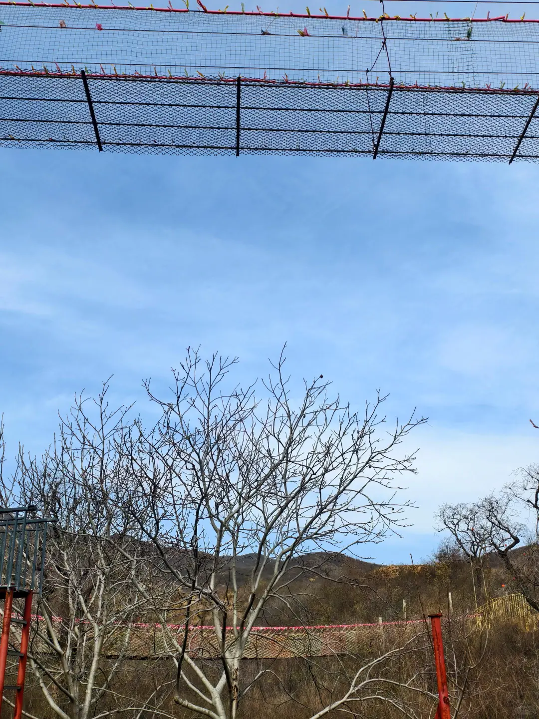 石家庄遛娃||周末徒步一日营