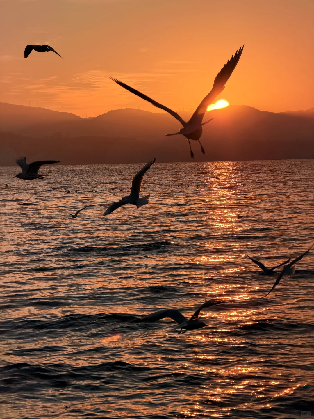 live实况🕊️今天的大理！！！杀疯了！！！！！！！！