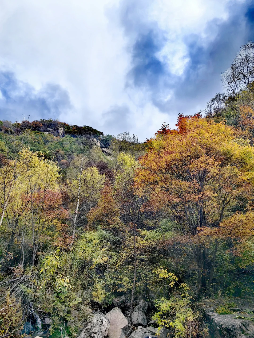 石家庄|没去新疆阿勒泰，被这里美哭了！