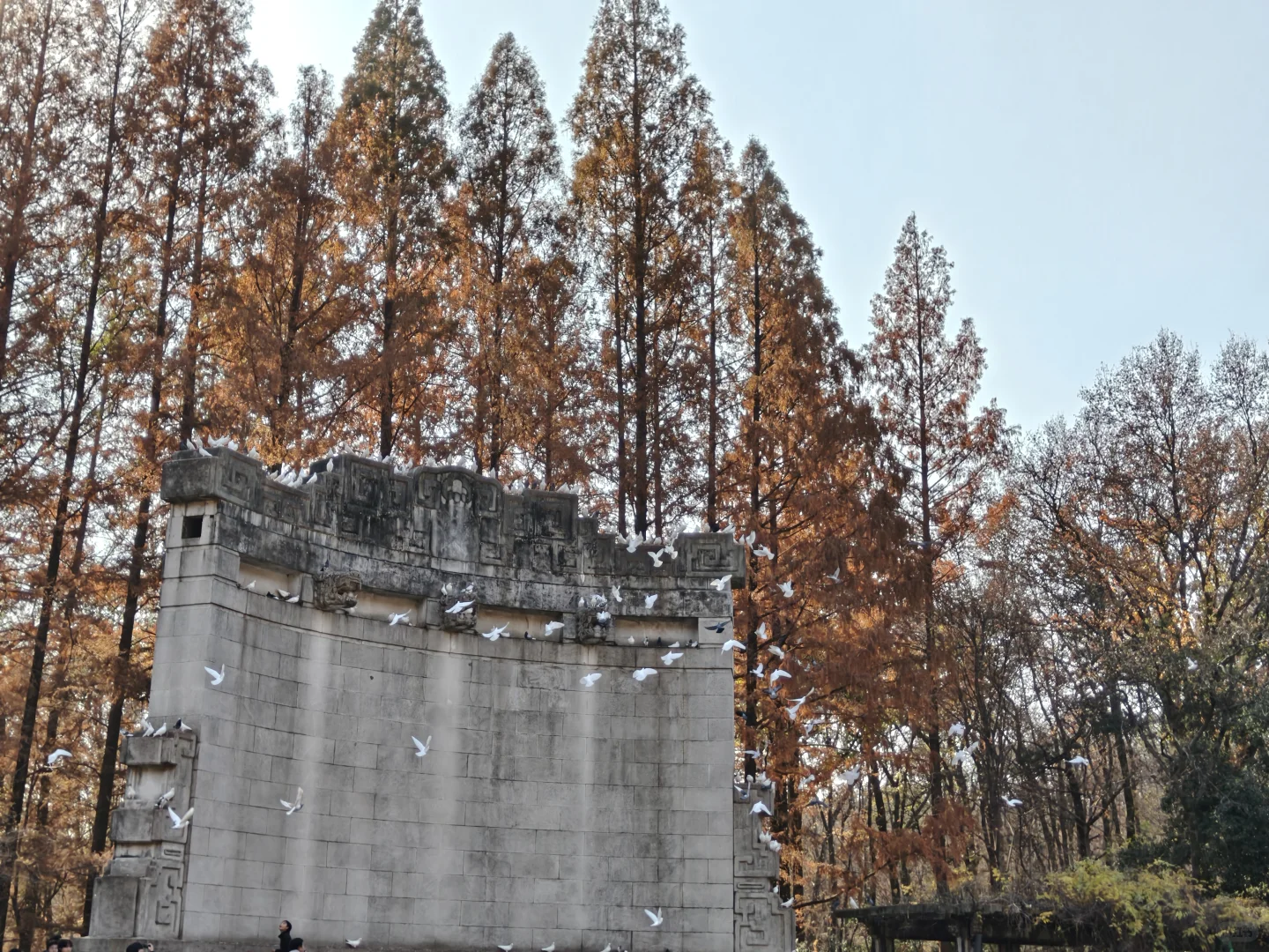 第2⃣️站|音乐台