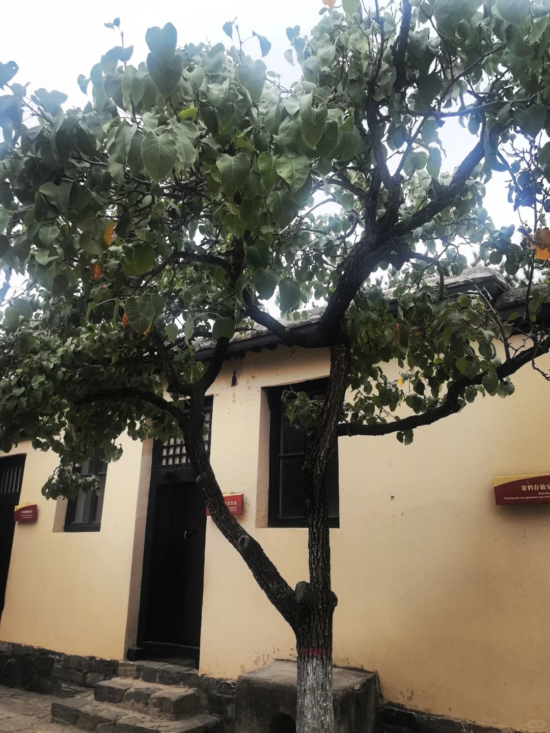 观在石家庄--西柏坡景区