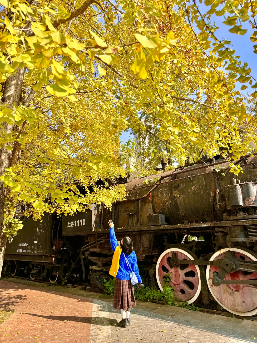 原来成都封神的秋景都是免费的。。。。附地址