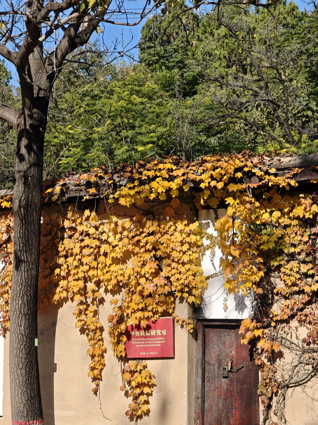 河北西柏坡值得去嘛