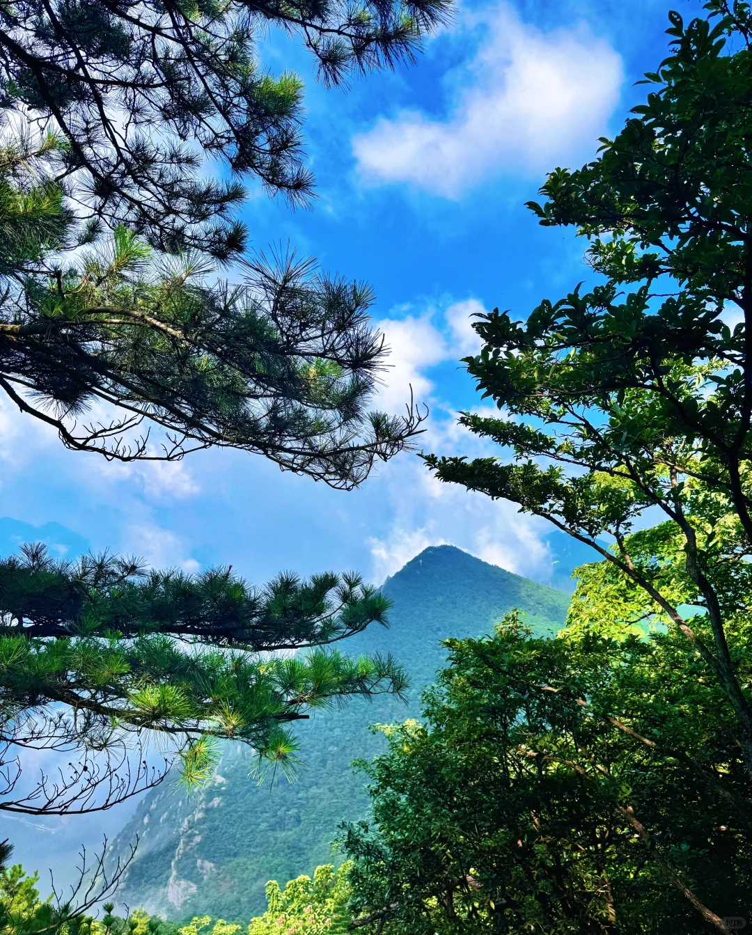 只缘身在此山中