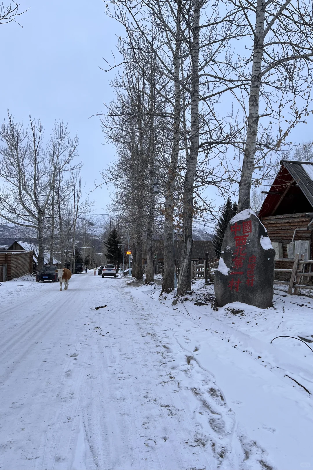 阿勒泰9天8晚旅行花费