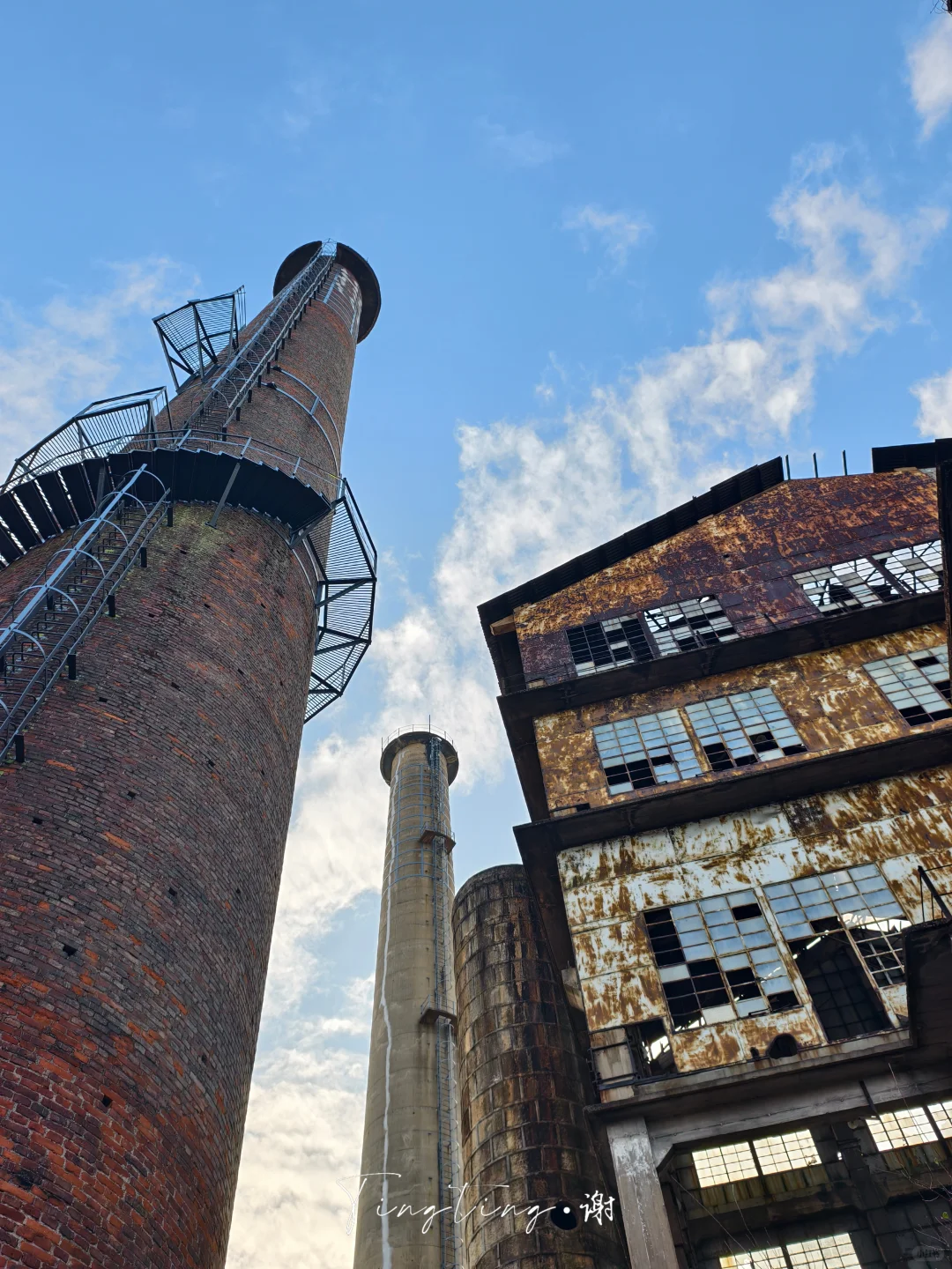 🌺花都开好了。