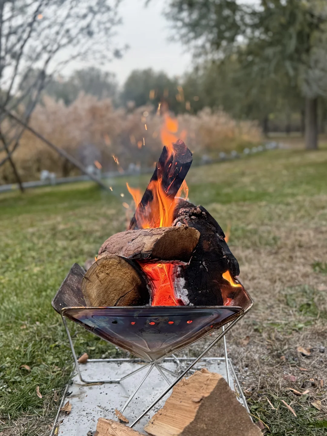 周一不想上班，直接溜去明曦湖躺平！