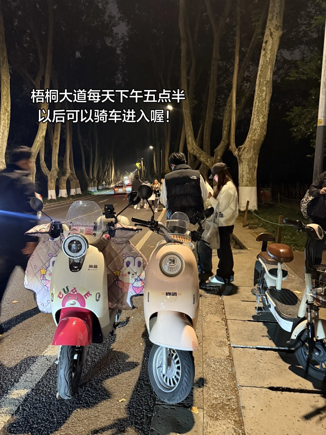 别怪我没告诉你！来南京不租车容易当冤大头