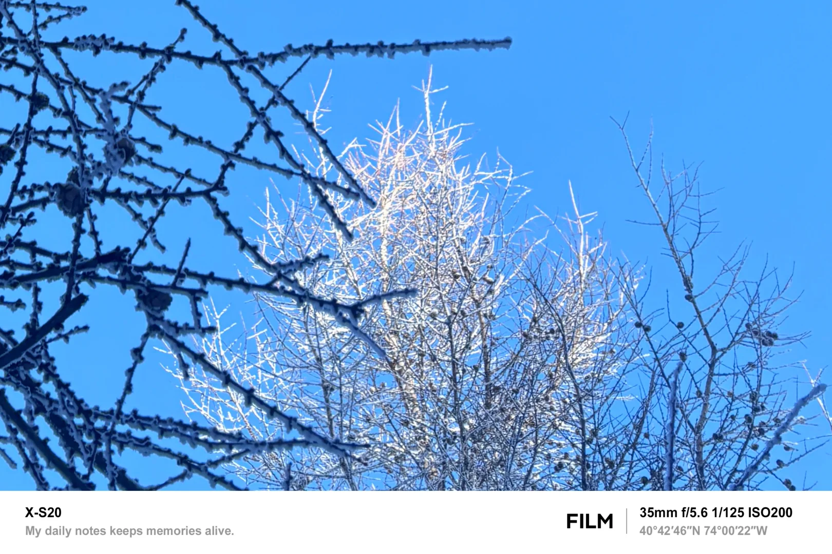 北京最近的林海雪原！桦皮岭可冲！