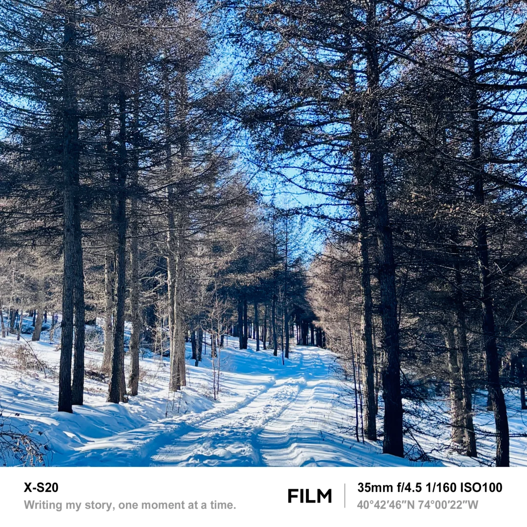 北京最近的林海雪原！桦皮岭可冲！