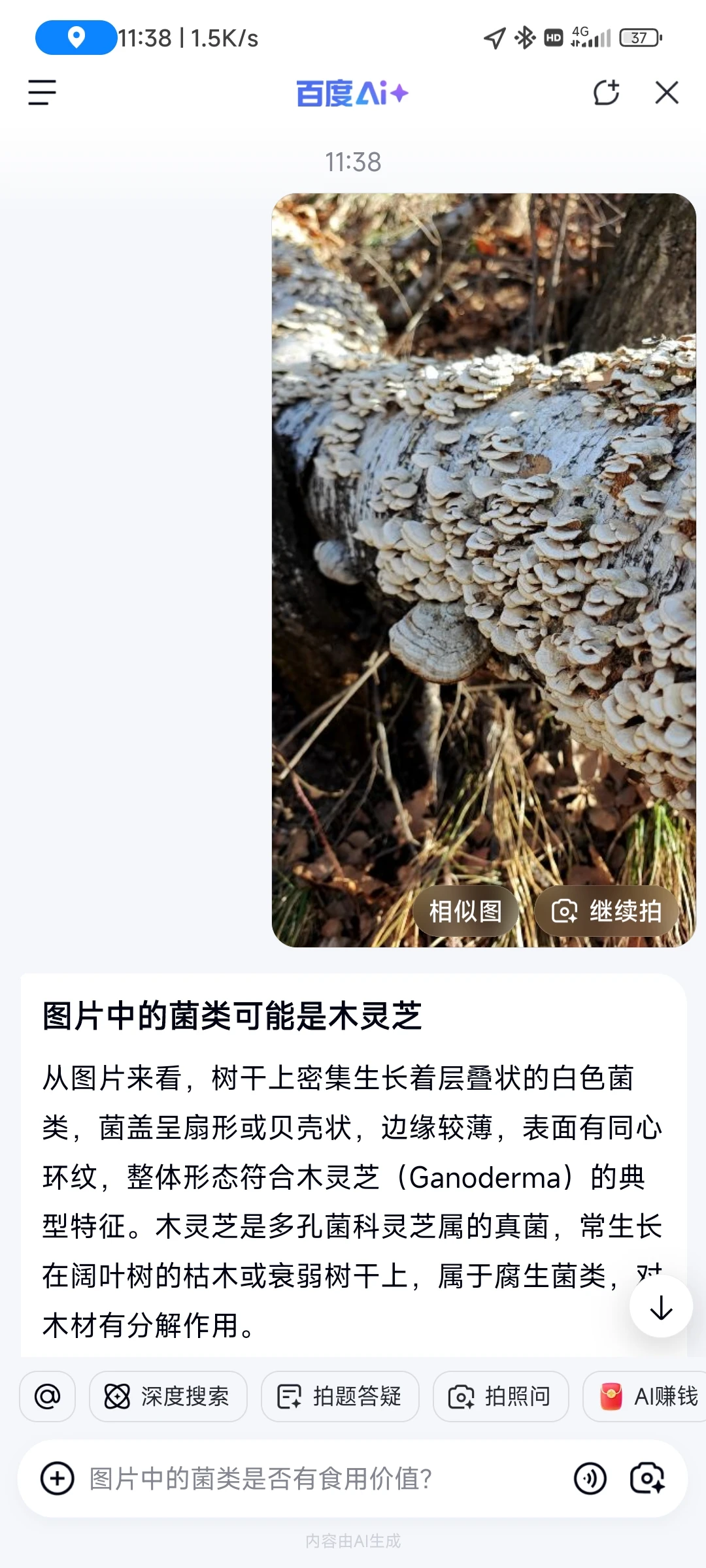 11月23日国际庄周边冬天好去处往这看😏