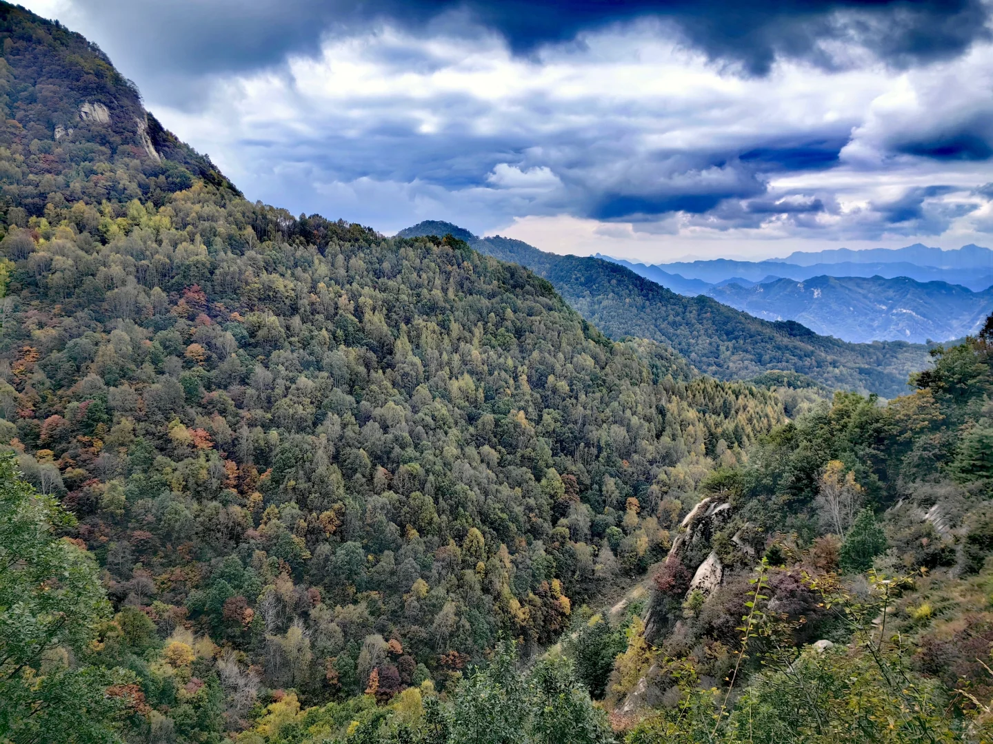 石家庄|没去新疆阿勒泰，被这里美哭了！