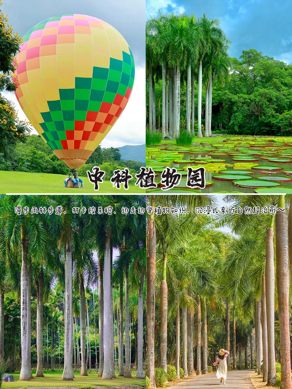 🔥强烈推荐！西双版纳亲子游轻松不费妈！