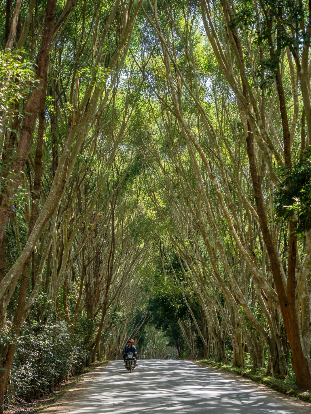 今年去过最冷门治愈的地方，我很怕它火